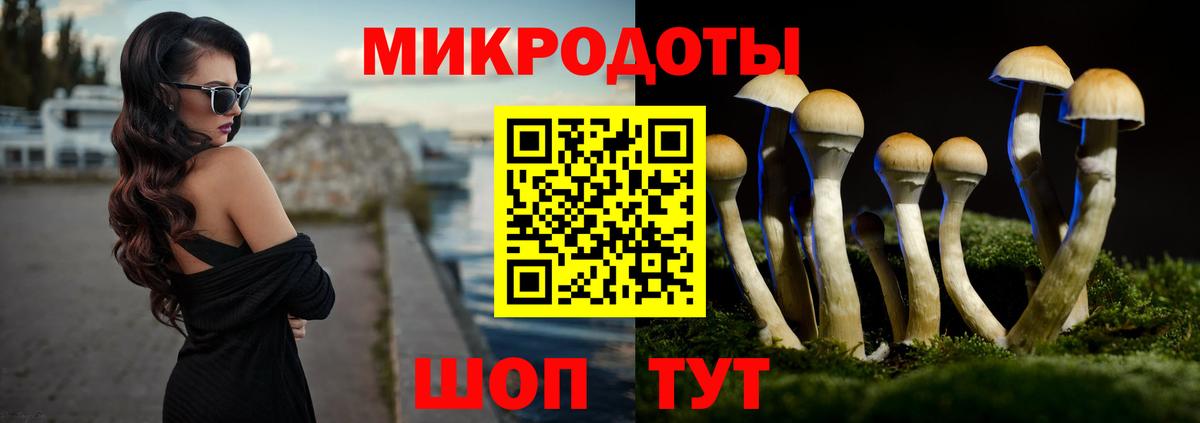 Северск  Галлюциногенные грибы Psilocybine cubensis  дарнет шоп  Вход с VPN  Псилоцибиновые грибы Cubensis 